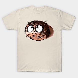 Grumpy coconut T-Shirt